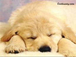 images (5)